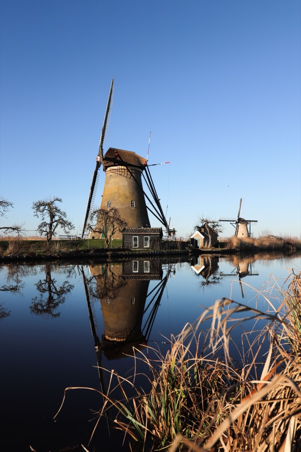 Historic windmills reflected in the canal at Kinderdijk, South Holland